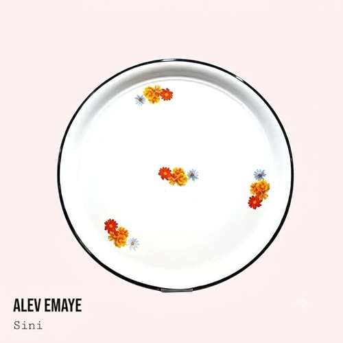 ALEV NO 45 EMAYE SİNİ