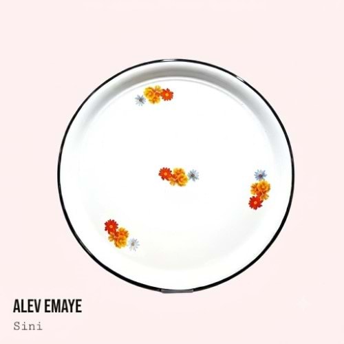 ,ALEV NO 55 EMAYE TEPSİ
