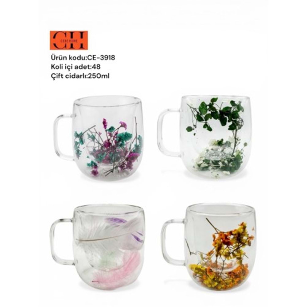 CEBEHOME 250 ML ÇİFT ÇIDARLI KUPA BARDAK*48